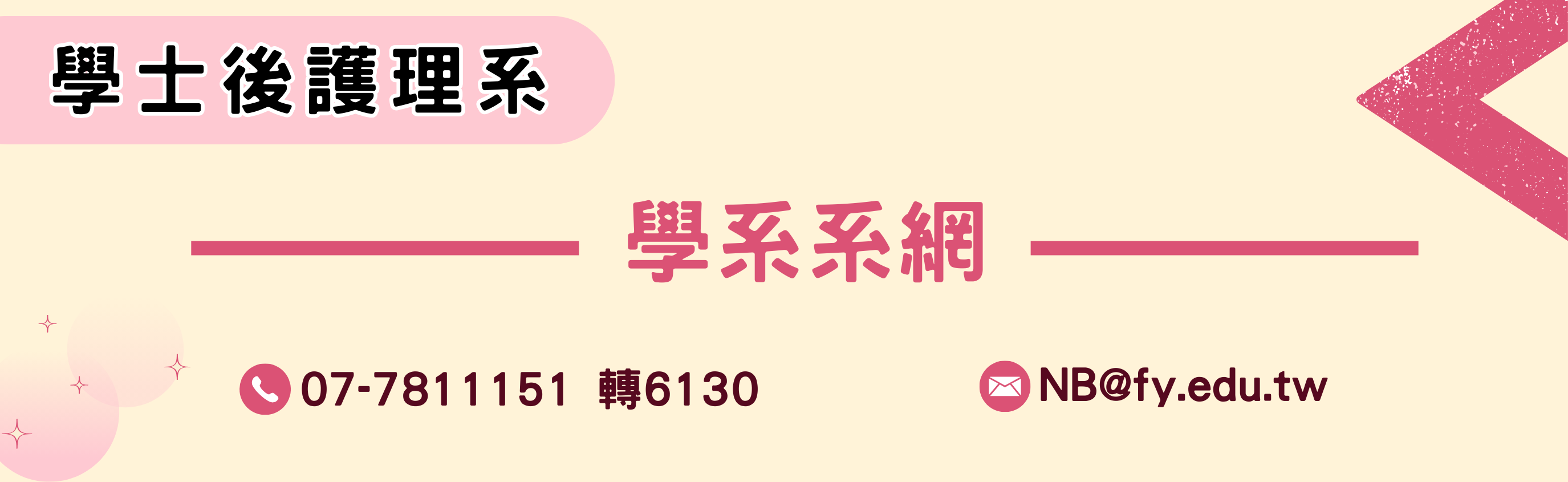 學士後護理系系網